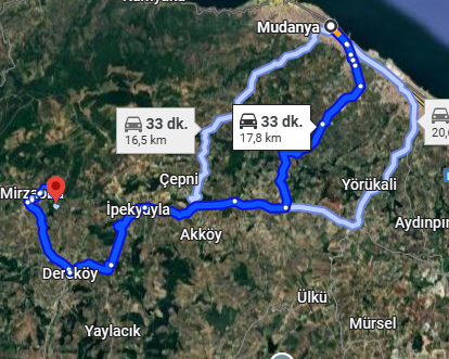 BURSA MUDANYA MİRZAOBA MAH. 852M² ZEYTİNLİK SATILIK - BURSA MUDANYA fotoğraf 4